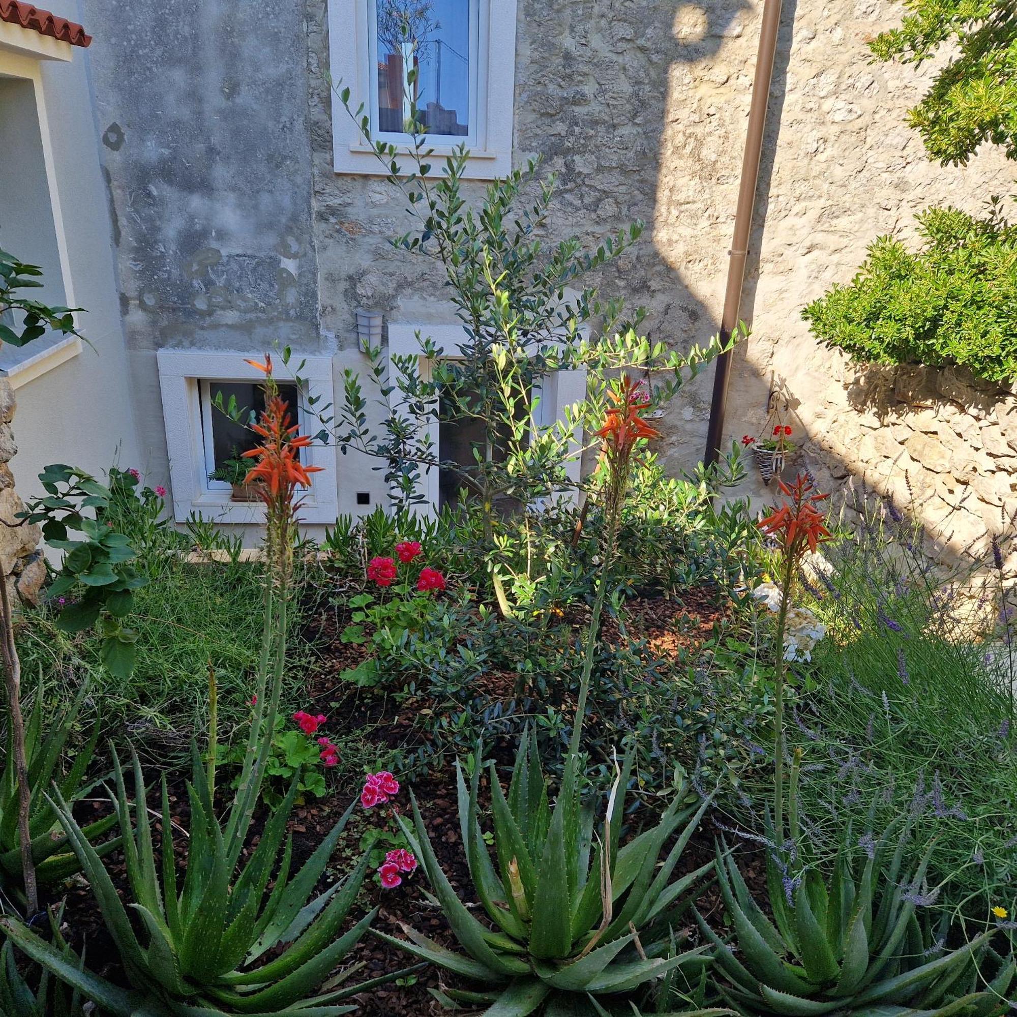 Castel Lejlighed Mali Lošinj Eksteriør billede